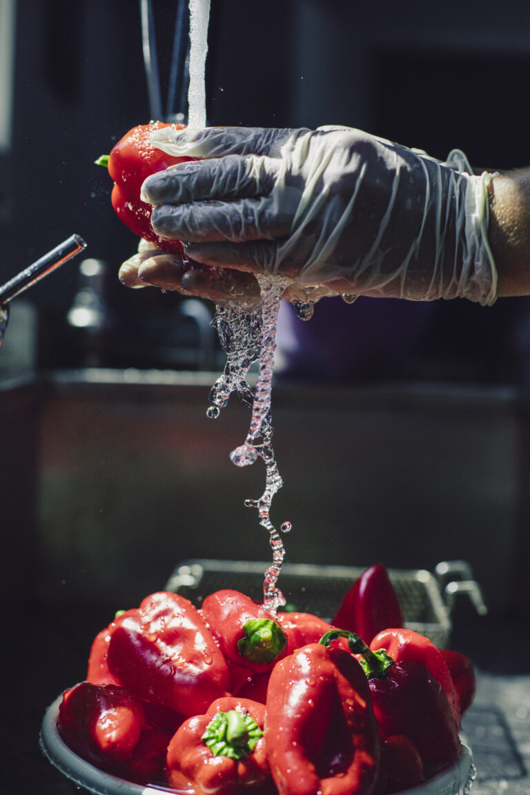 Water Quality in Food Processing Industries